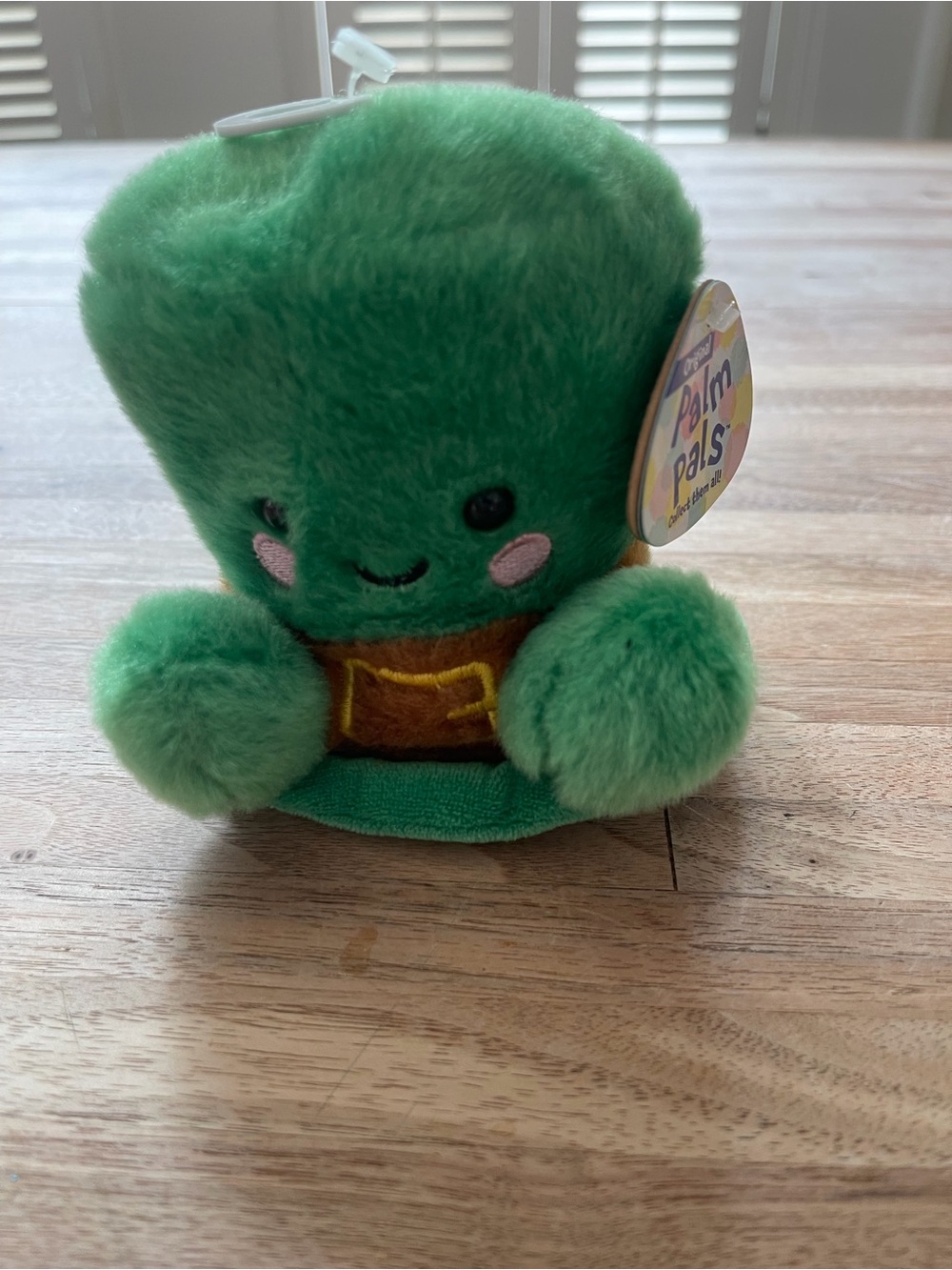 Palm Pals Finnigan Leprechan Hat- NWT